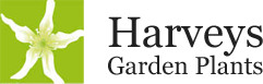 Harveys Garden Plants
