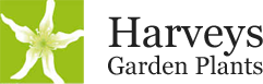 Harveys Garden Plants logo