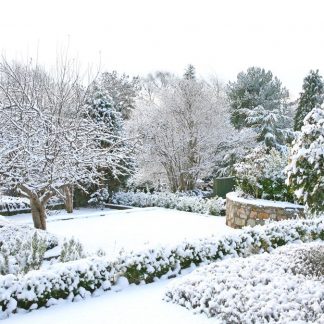 Winter